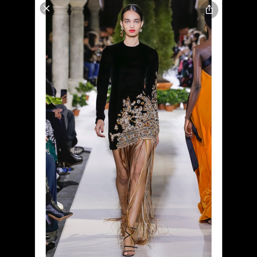 Fringe-Trimmed Embroidered Velvet Mini Dress